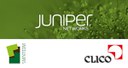 Junipe